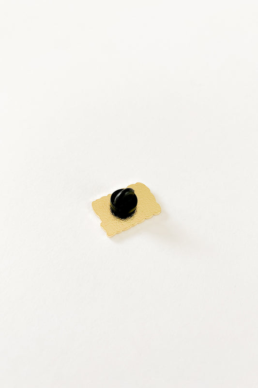 Abolish the Electoral College Lapel Pin Flagship