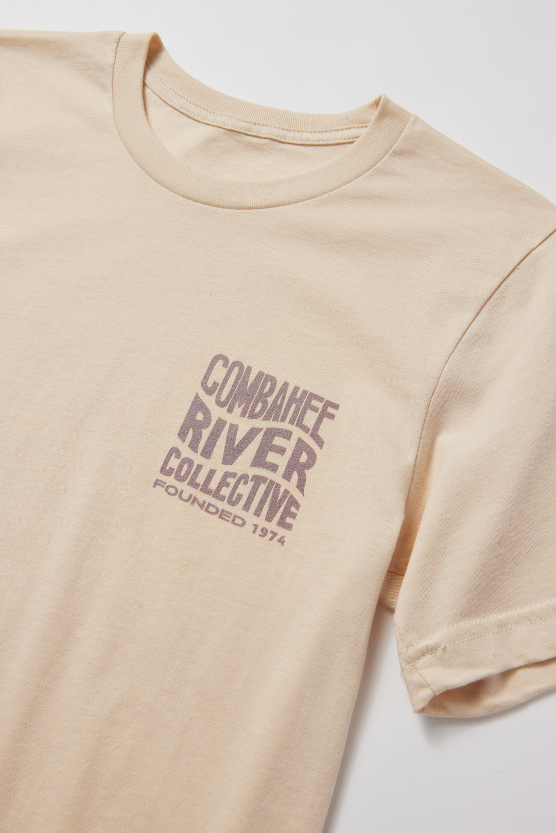 The Combahee River Collective T-Shirt Black Women Radicals