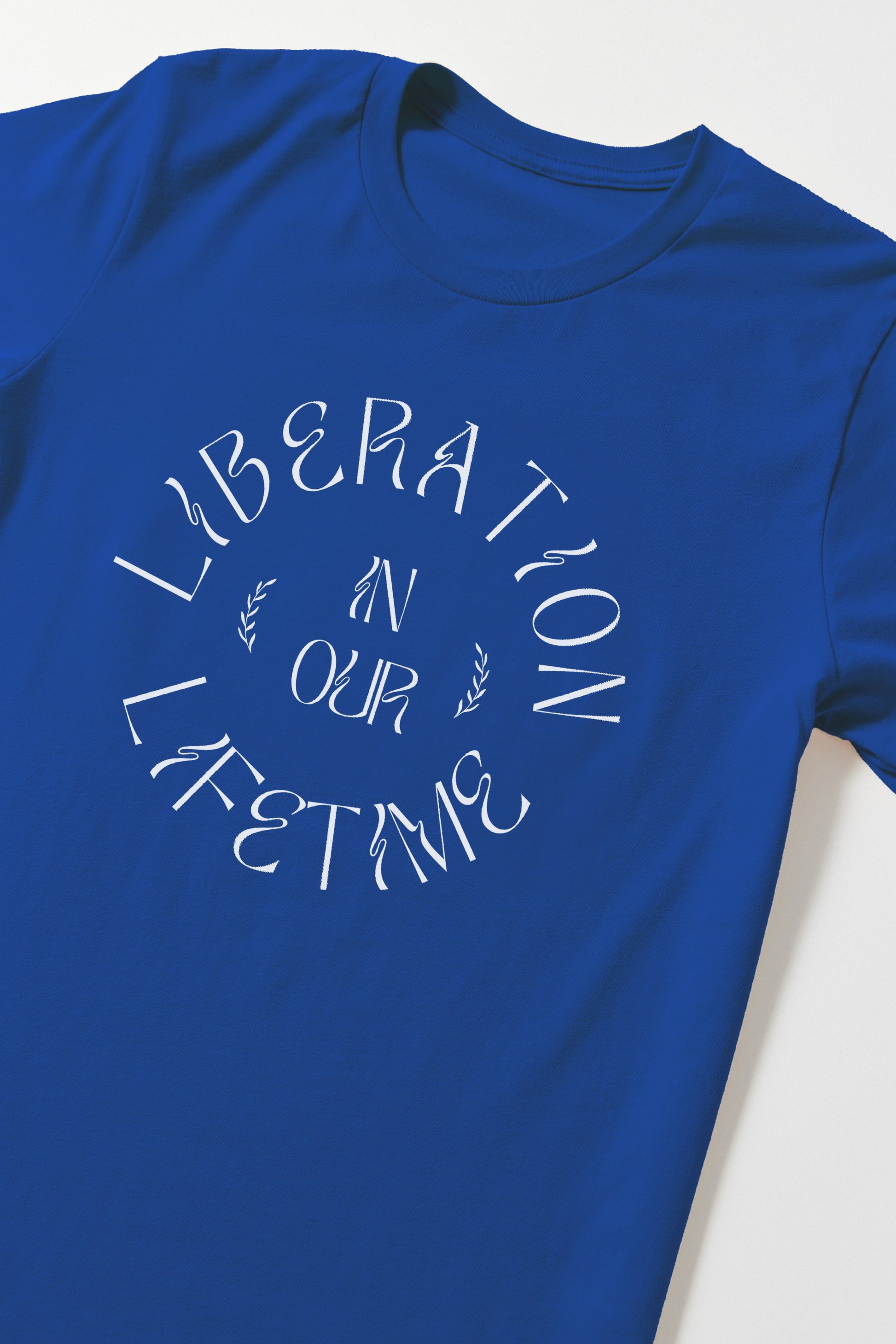 Liberation in Our Lifetime T-Shirt B Dukes
