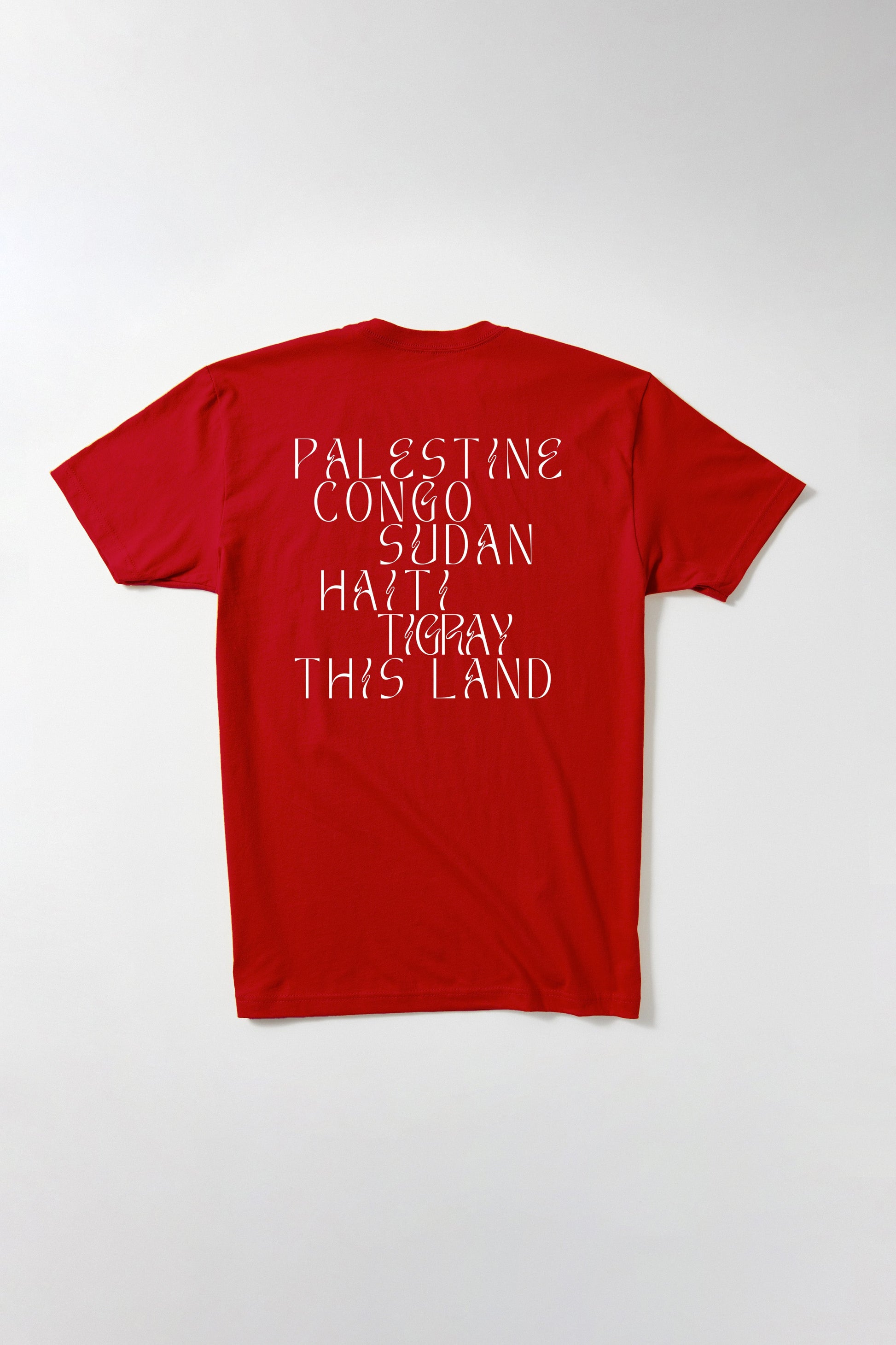 Liberation in Our Lifetime T-Shirt B Dukes