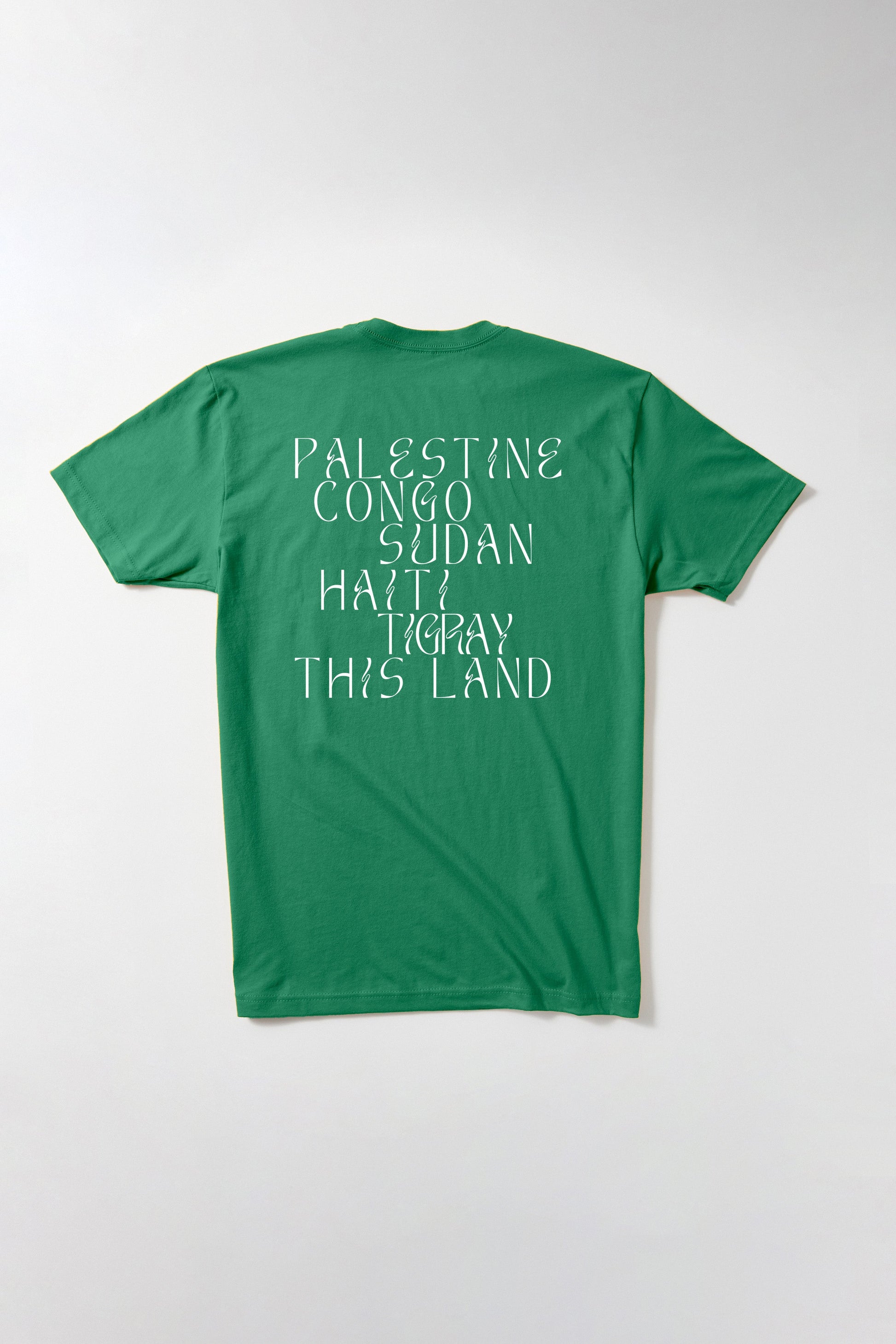 Liberation in Our Lifetime T-Shirt B Dukes
