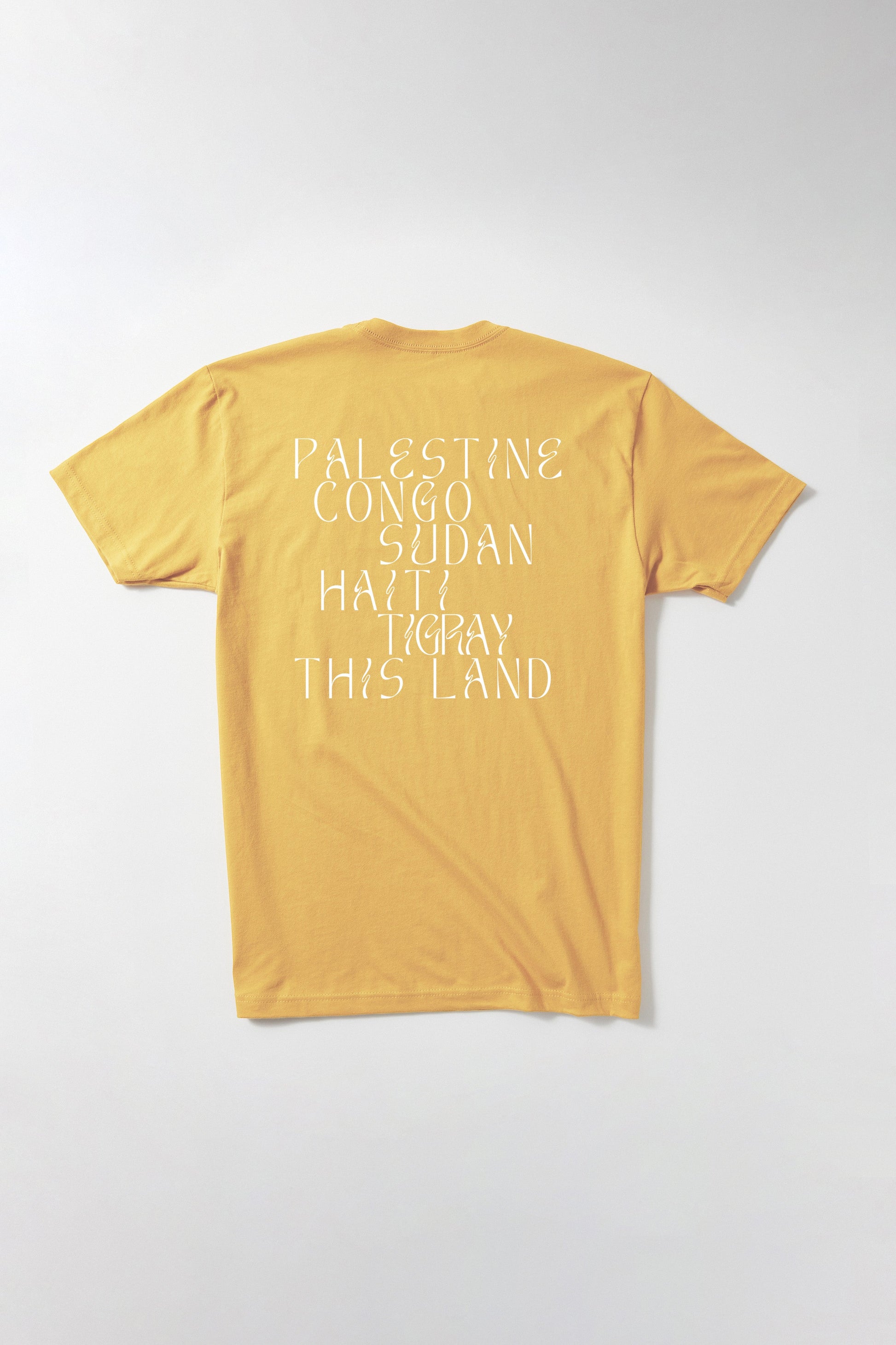 Liberation in Our Lifetime T-Shirt B Dukes