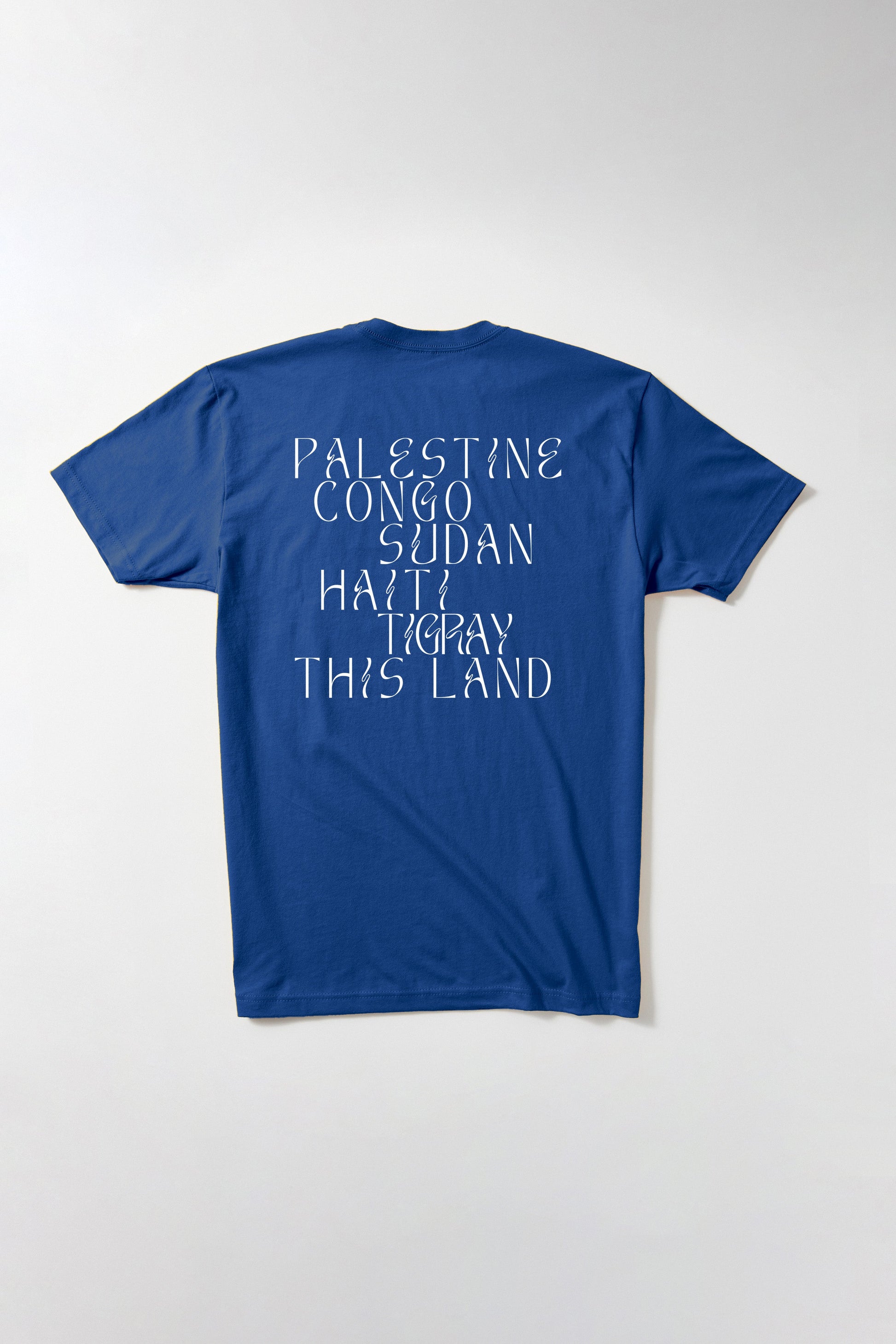 Liberation in Our Lifetime T-Shirt B Dukes