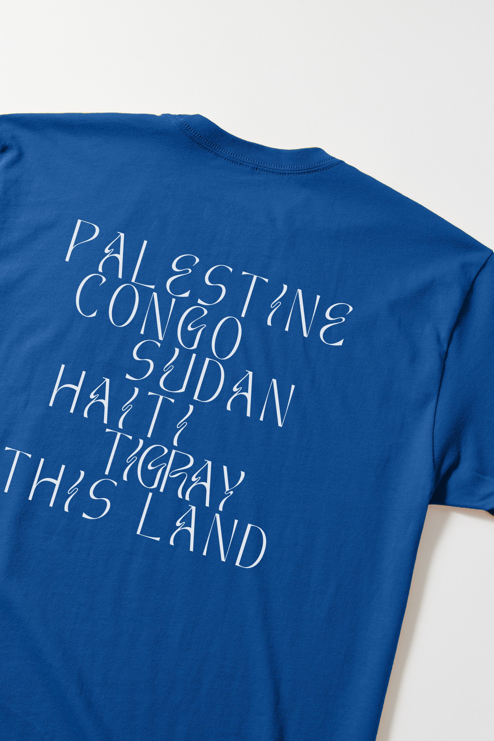 Liberation in Our Lifetime T-Shirt B Dukes