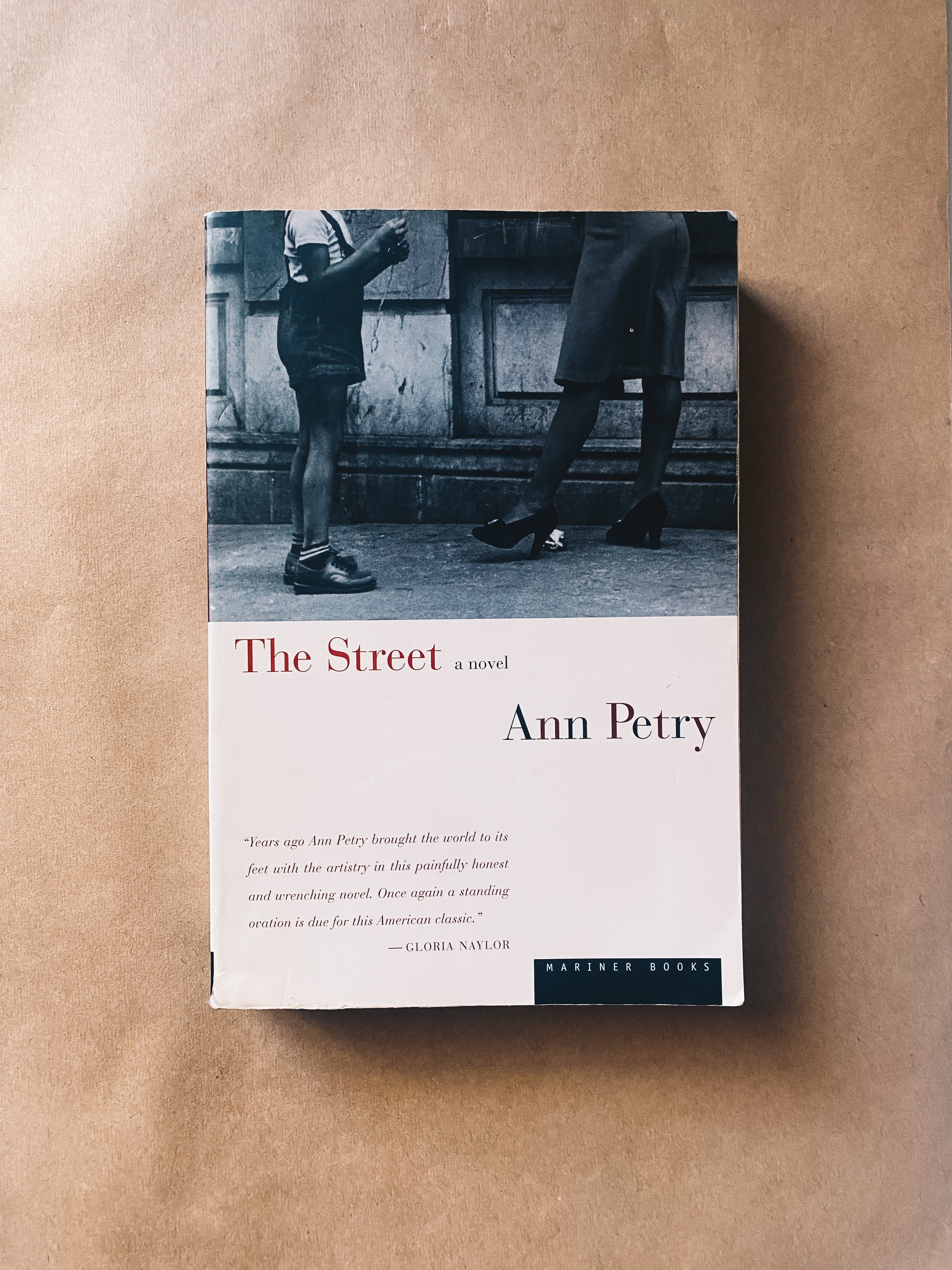The Street: A Novel by Ann Petry Books Radical Roots