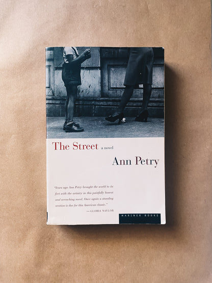 The Street: A Novel by Ann Petry Books Radical Roots