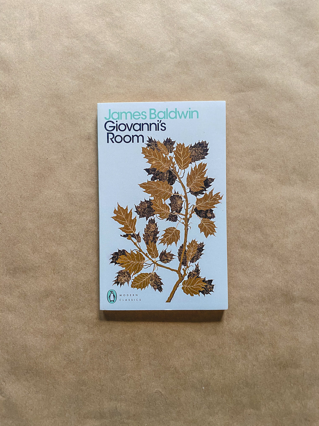 Giovanni’s Room by James Baldwin (1956) Radical Roots