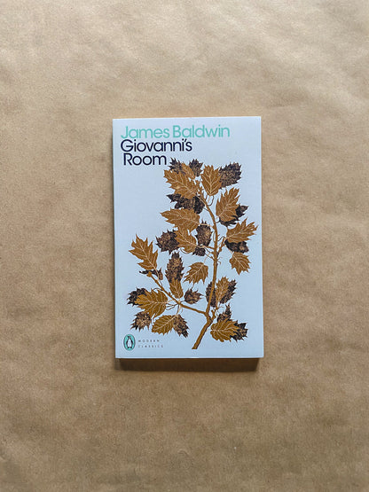Giovanni’s Room by James Baldwin (1956) Radical Roots