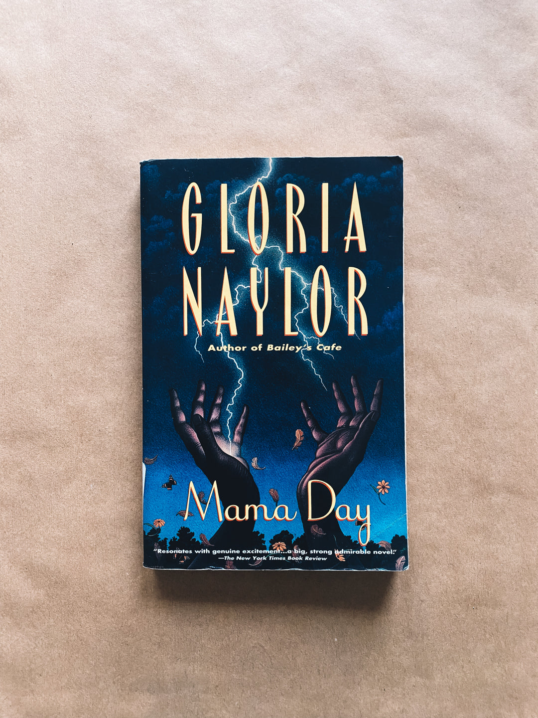 Mama Day by Gloria Naylor (1988) Radical Roots