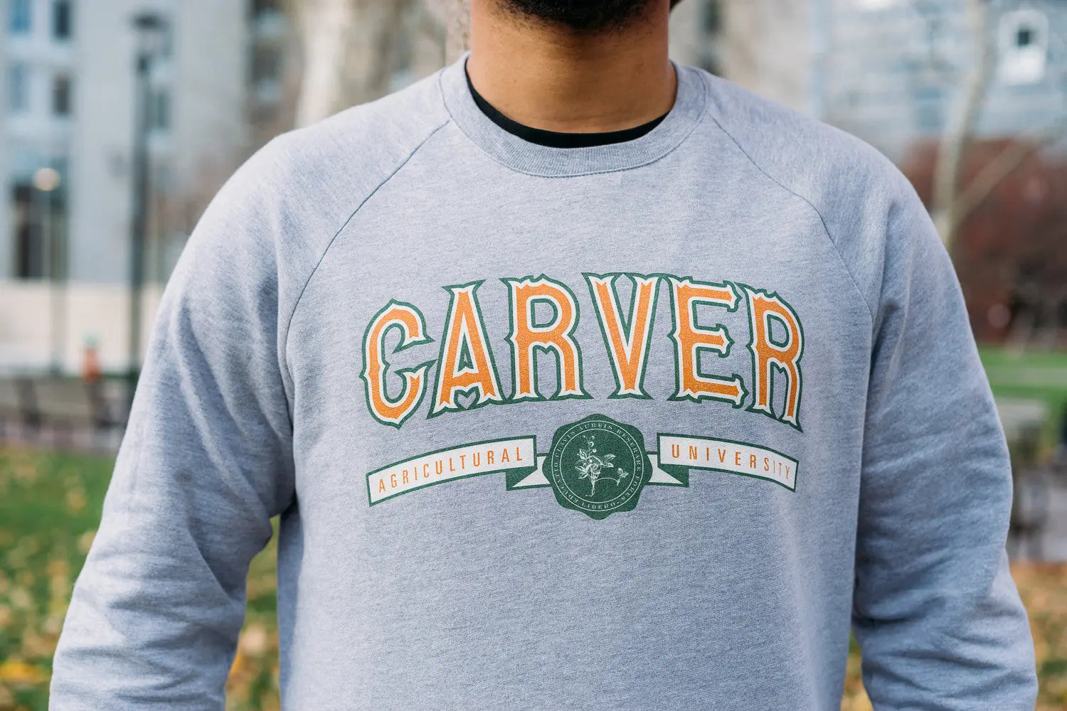 Collegiate crewneck outlet